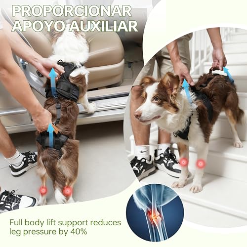 Dog Lift Harness for Male Dogs Full Body Support for Recovery & Mobility（M） (Chest Girth 21-27")