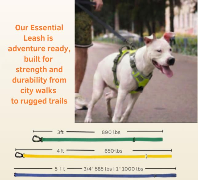 Essential Biothane Dog Leash (Biscuit Brown / 3/4 In x 4 Feet)
