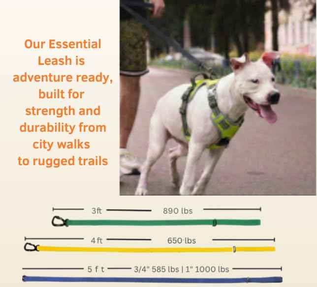 Essential Biothane Dog Leash (Orange / 4 Feet x 3/4 In)