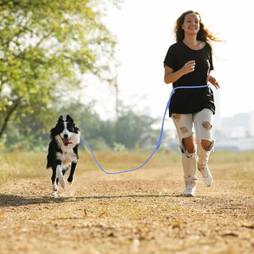 9-in-1 Hands Free Dog Leash Crossbody/Waist Red Large Dogs (Neon Coral / Large - 9mm Diameter - 20-120lbs)