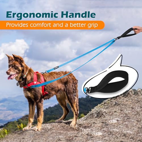 Two Point Control Dog Leash (Light Blue)