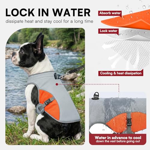 Cooling Vest for Extra (Orange / XXX-Large)