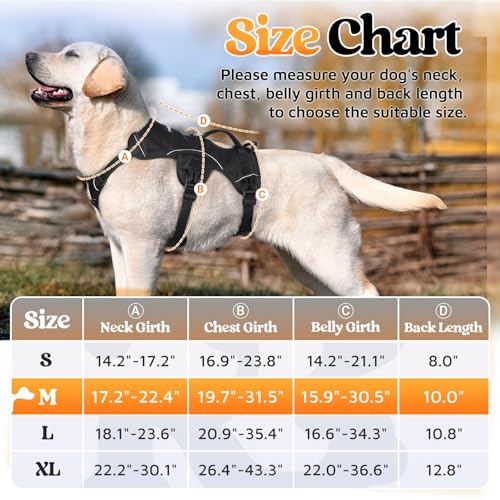 Escape Proof Dog Harness for Medium (Black / Medium)