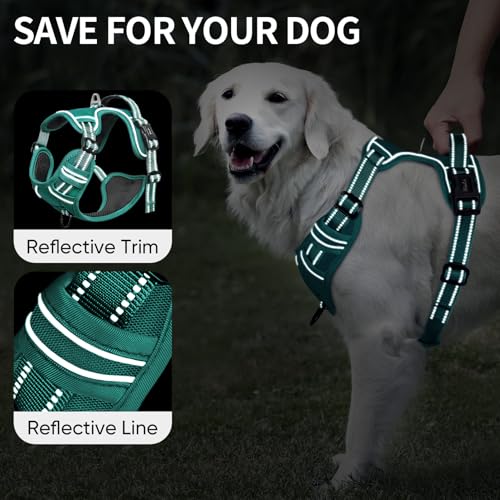 Dog Harness for Small Dogs No Pull Dog Vest Harness for Small Dog with Soft Padded Handle Reflective for Outdoor Training (S / Grass Green)