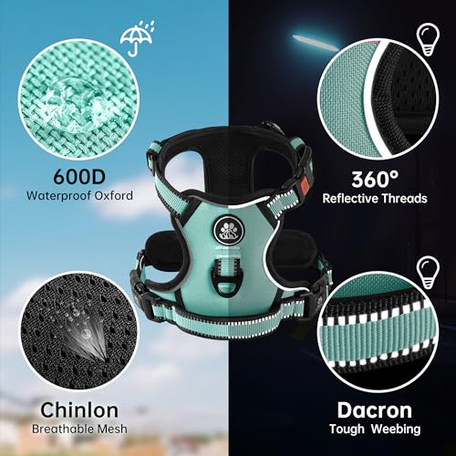 Dog Harness for Small Sized Dog (Turquoise / Small)