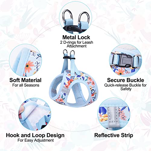 Small Dog Harness and Leash Set (XSmall(Chest Girth 13" - 14.5") / Blue Rose)