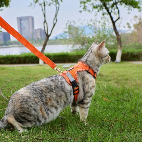 Cat Harness and Leash Set (Orange / Small)