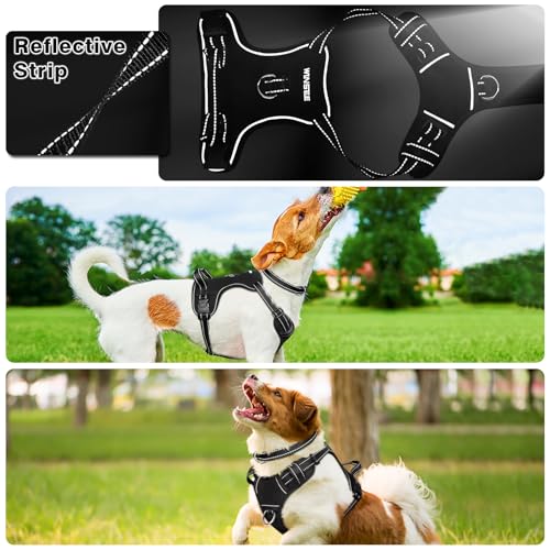 Dog Harness No Pull (Medium / Black)