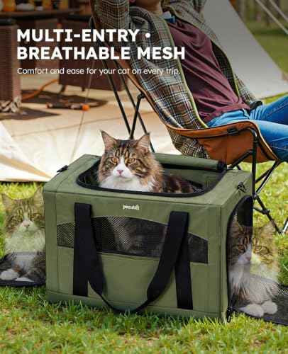 Cat Carrier Stable (Green / 19.6"L x 14.9"W x 13.7"H)