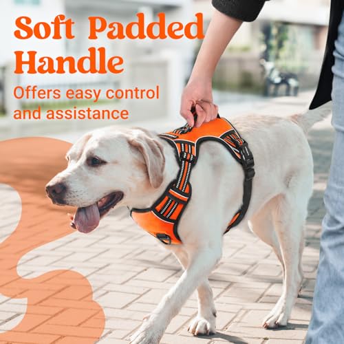 Large Dog Harness (Medium / Orange)