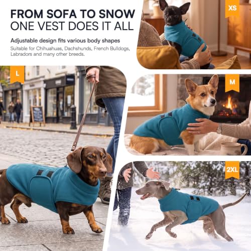 Cat Sweater Soft Fleece Dog Vest Warm Dog Jacket with Leash Hole (Peacock-Blue / XX-Small)
