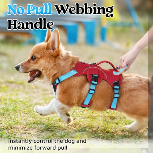 Escape Proof Dog Harness for Small (Sky Blue & Red / Small)