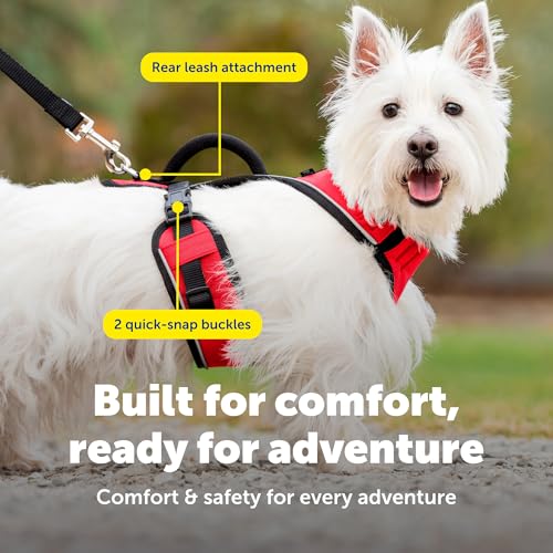 EasySport Dog Harness (Small / Red)