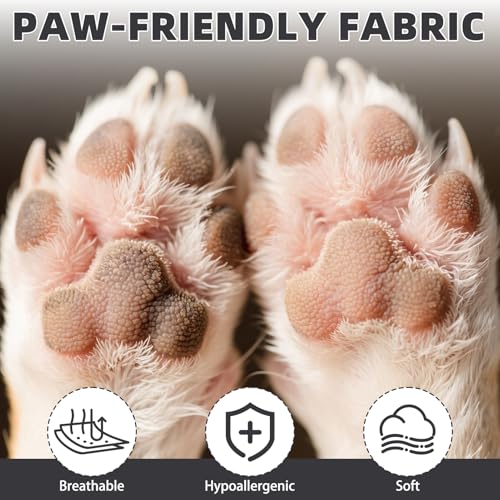 Dog Socks Shoes for Hot Pavement (Black / X-Small(4 Pack))