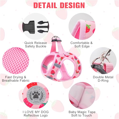 Small Dog Harness and Leash Set (XSmall(Chest Girth 13" - 14.5") / Strawberry)