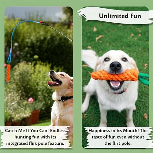 Flirt Pole for Dogs