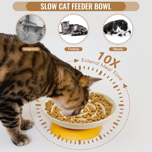 Slow Feeder Cat Bowl Set of 2 (cream)