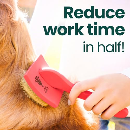 Slicker Brush for Dogs (Coral / Curved Small)