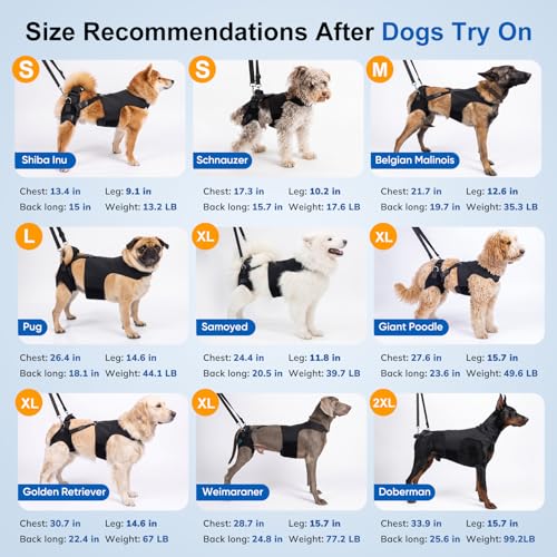 Dog Hip Dysplasia Brace with Back Lift Strap (S)