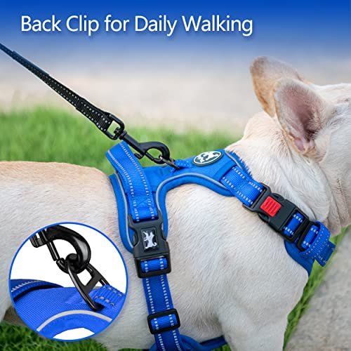 No Pull Dog Harness (S / Royal Blue)