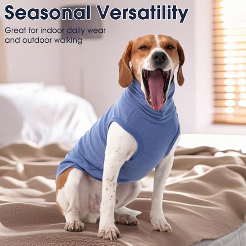 XL Dog Sweater (X-Large / Blue)