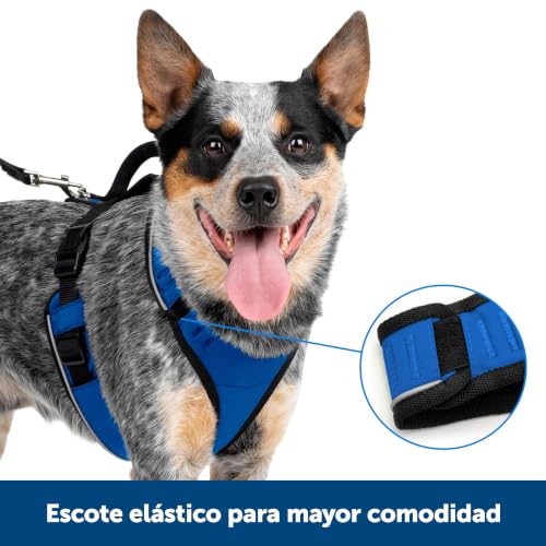 EasySport Dog Harness (Medium / Pink)