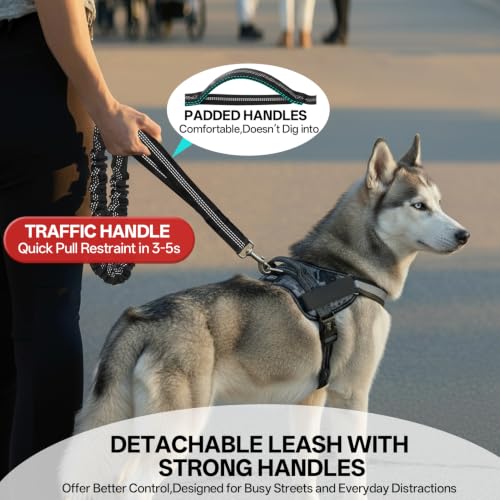 Hands Free Dog Leash