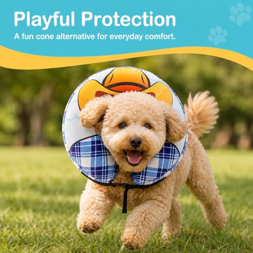 Inflatable Cowboy Dog Cone Collar (L(Neck 15"-18.1"))