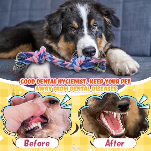 100 Pcs Knot Rope Dog Toys Multi Color
