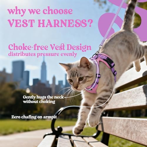 Cat Harness and Leash Set (M / Pink & Light Purple)