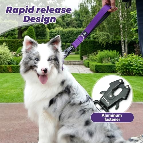 14 Inch Traffic Dog Leash for Large Dogs (Purple)
