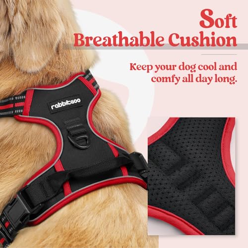 Dog Harness No Pull for Large Dogs with 2 Leash Clips (X-Large / Black & Red)