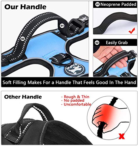 No Pull Dog Harness Small with Front Clip & Neck Release Buckle (S / Light Blue)