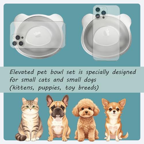 2 Pack Elevated Pet Bowls for Small Cats and Dogs 15° Tilted (2 Pack)