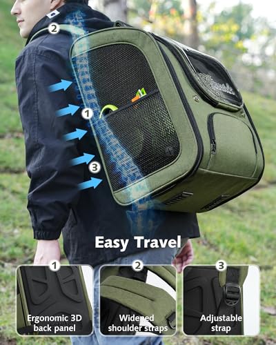 Cat Backpack Carrier (Green / 14.9"L x 11.0"W x 19.6"H)
