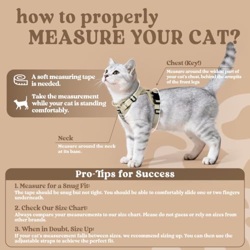 Cat Harness and Leash Set (Xxs / Foamy Coffee)