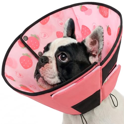 Dog Cone Dog Cones for Small Dogs (S / Strawberry)