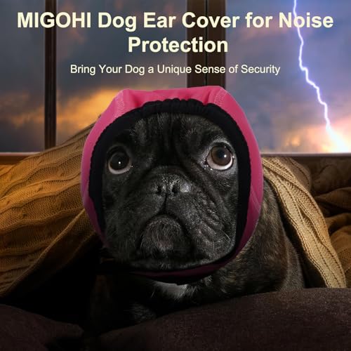 Dog Calming Hoodie (L / Fuchsia)