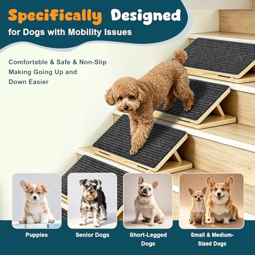 2 Pack Small Dog Ramp for Stairs (Gray / 2)