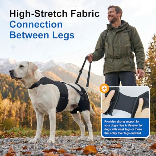 Dog Hip Dysplasia Brace with Back Lift Strap (2XL)