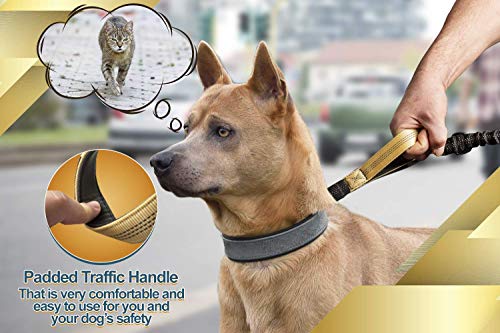 Hands Free Dog Leash (Premium Gold / 1 dog M/L)