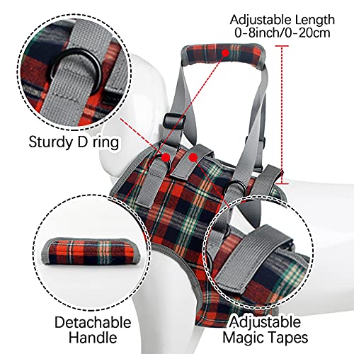 Dog Lift Harness (Large / Chest-Blue)