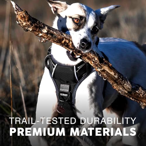 Embark No Pull Dog Harness (XL / Black)