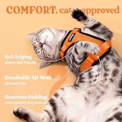Cat Harness and Leash Set (Xxs / Orange)