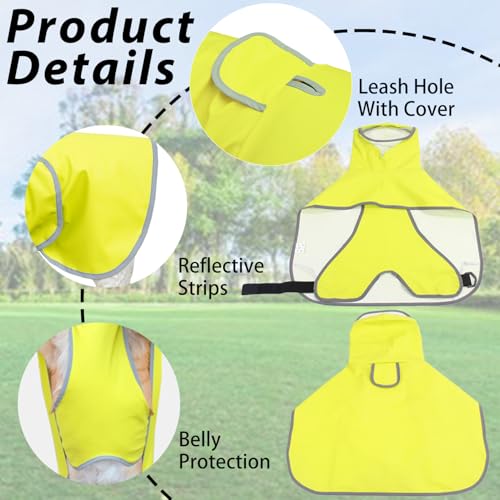 Dog Raincoat Hooded Slicker Poncho (Large / Green)