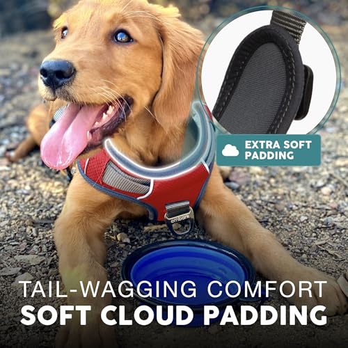 Embark No Pull Dog Harness (XS / Red)