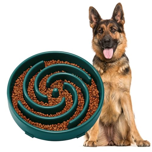 Slow Feeder Dogs Bowl for Large Medium Dogs (Large / N-Dark Green)
