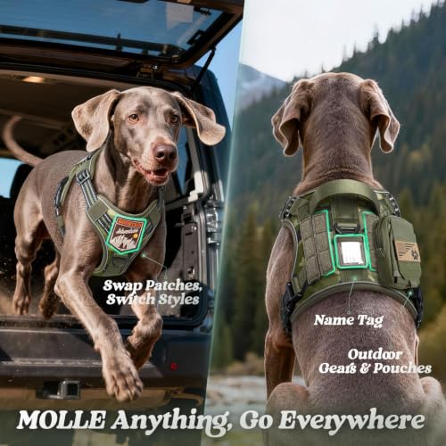 Tactical Dog Harness for Large Dogs (L(Chest:22"-37",Neck:21.1"-30.3",Back:8.3") / Green Camo)