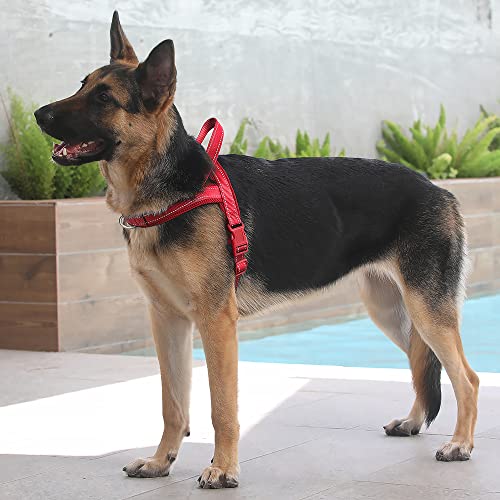 No Pull Dog Harness for Large Dogs (L: chest 25.2"-32.3" / Red)