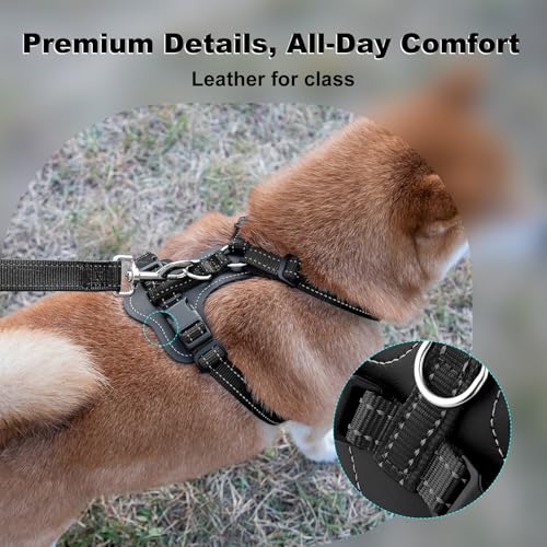 No Pull Dog Harness with Leather Accents (L / Black)